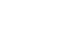 DSMS